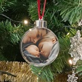 Gepersonaliseerde Kerstbal Mijn familie