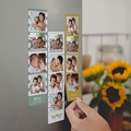 Magneetfoto Paulux Green & yellow ocher