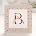 Geboortekaartjes Meisje Retro alfabet, natuur, roze beige